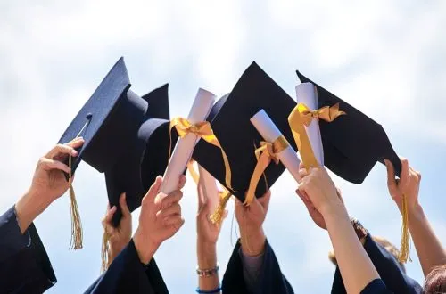 Undergraduate Courses